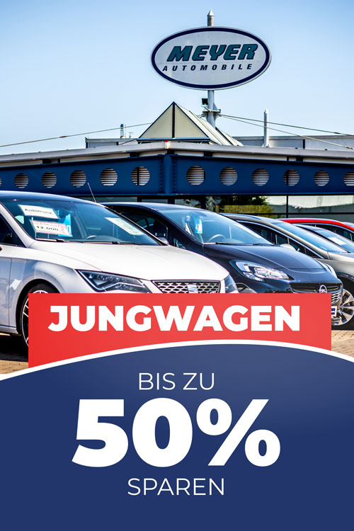 Jungwagen Angebote