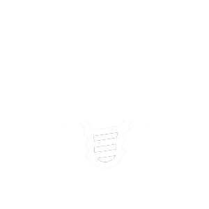 Icon erfahrung